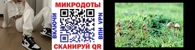 Псилоцибиновые грибы мицелий  Малая Вишера 